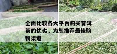 全面比较各大平台购买普洱茶的优劣，为您推荐更佳购物渠道