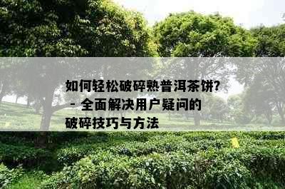 如何轻松破碎熟普洱茶饼？ - 全面解决用户疑问的破碎技巧与方法