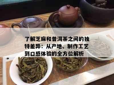 了解芝麻和普洱茶之间的独特差异：从产地、制作工艺到口感体验的全方位解析