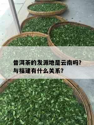 普洱茶的发源地是云南吗？与福建有什么关系？