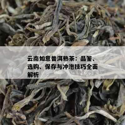 云南如意普洱熟茶：品鉴、选购、保存与冲泡技巧全面解析