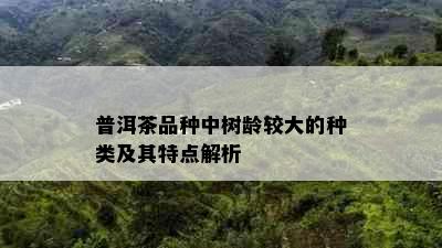 普洱茶品种中树龄较大的种类及其特点解析