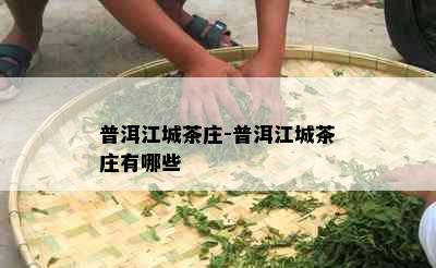 普洱江城茶庄-普洱江城茶庄有哪些