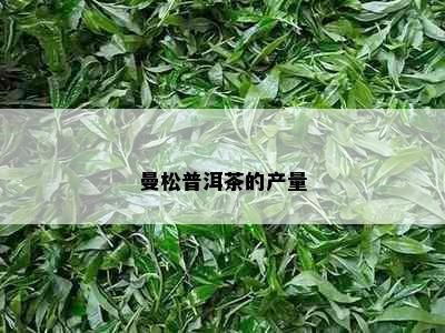 曼松普洱茶的产量