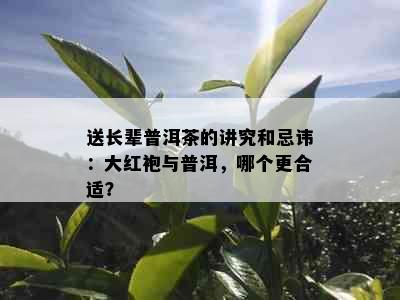 送长辈普洱茶的讲究和忌讳：大红袍与普洱，哪个更合适？