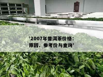 '2007年普洱茶价格：原因、参考价与查询'