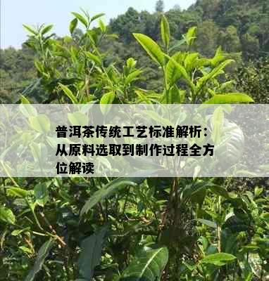 普洱茶传统工艺标准解析：从原料选取到制作过程全方位解读