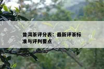 普洱茶评分表：最新评茶标准与评判要点