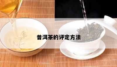 普洱茶的评定方法