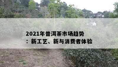 2021年普洱茶市场趋势：新工艺、新与消费者体验