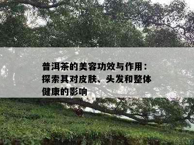 普洱茶的美容功效与作用：探索其对皮肤、头发和整体健康的影响