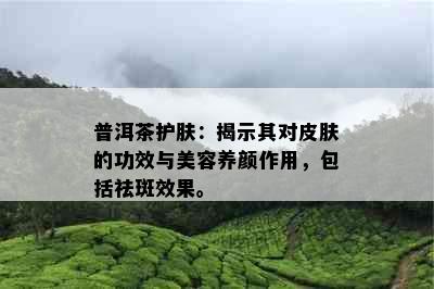 普洱茶护肤：揭示其对皮肤的功效与美容养颜作用，包括祛斑效果。