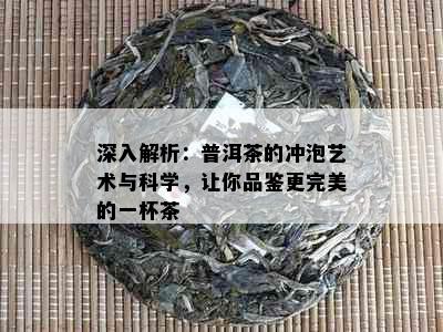 深入解析：普洱茶的冲泡艺术与科学，让你品鉴更完美的一杯茶