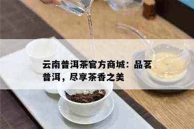 云南普洱茶官方商城：品茗普洱，尽享茶香之美