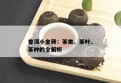 普洱小金砖：茶类、茶叶、茶种的全解析