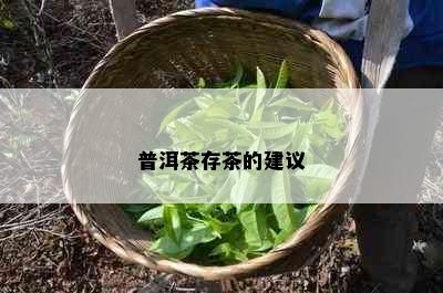 普洱茶存茶的建议