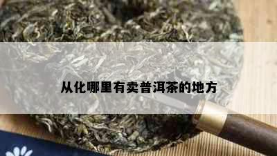 从化哪里有卖普洱茶的地方