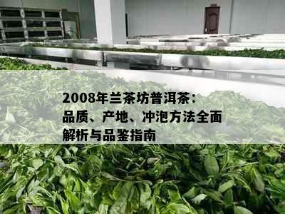 2008年兰茶坊普洱茶：品质、产地、冲泡方法全面解析与品鉴指南