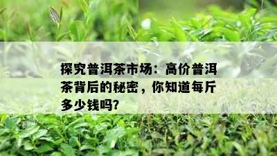 探究普洱茶市场：高价普洱茶背后的秘密，你知道每斤多少钱吗？