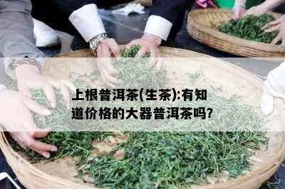 上根普洱茶(生茶):有知道价格的大器普洱茶吗？