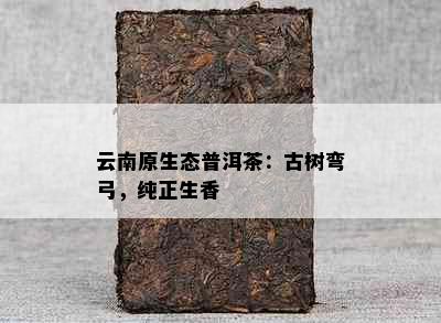 云南原生态普洱茶：古树弯弓，纯正生香