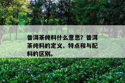 普洱茶纯料什么意思？普洱茶纯料的定义、特点和与配料的区别。