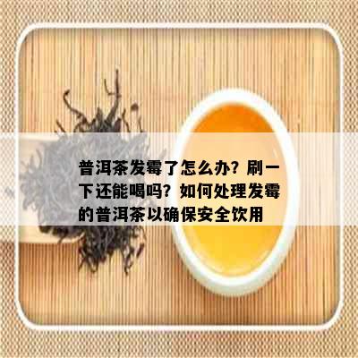 普洱茶发霉了怎么办？刷一下还能喝吗？如何处理发霉的普洱茶以确保安全饮用