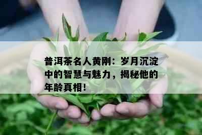 普洱茶名人黄刚：岁月沉淀中的智慧与魅力，揭秘他的年龄真相！