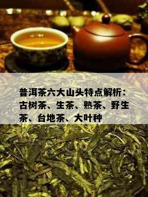 普洱茶六大山头特点解析：古树茶、生茶、熟茶、野生茶、台地茶、大叶种