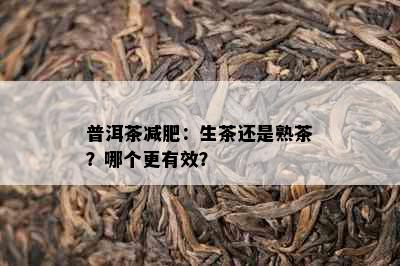 普洱茶减肥：生茶还是熟茶？哪个更有效？