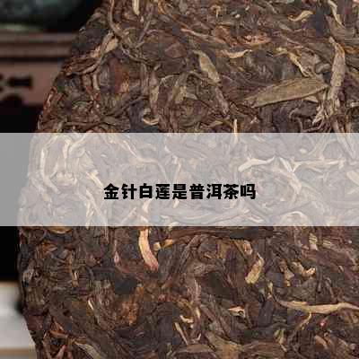 金针白莲是普洱茶吗