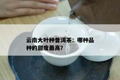 云南大叶种普洱茶：哪种品种的甜度更高？