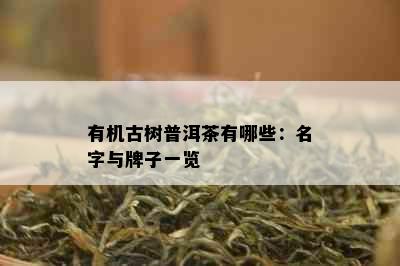 有机古树普洱茶有哪些：名字与牌子一览