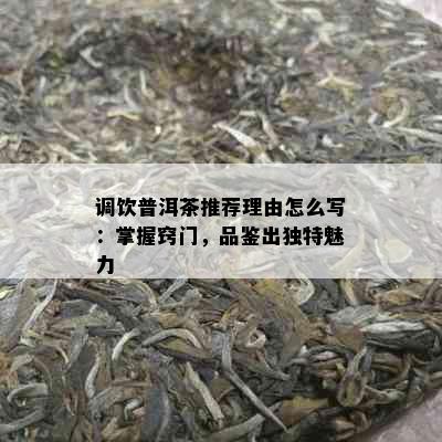 调饮普洱茶推荐理由怎么写：掌握窍门，品鉴出独特魅力