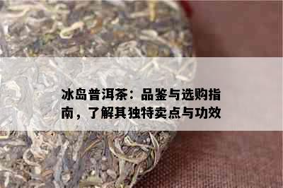 冰岛普洱茶：品鉴与选购指南，了解其独特卖点与功效