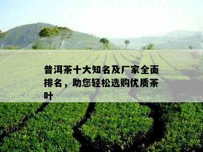 普洱茶十大知名及厂家全面排名，助您轻松选购优质茶叶