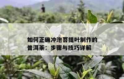 如何正确冲泡菩提叶制作的普洱茶：步骤与技巧详解