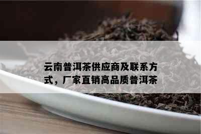 云南普洱茶供应商及联系方式，厂家直销高品质普洱茶