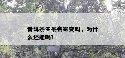 普洱茶生茶会霉变吗，为什么还能喝？