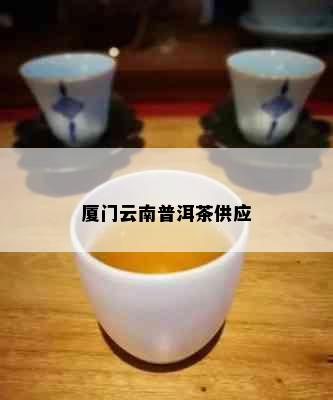 厦门云南普洱茶供应