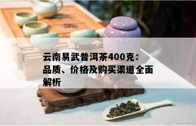 云南易武普洱茶400克：品质、价格及购买渠道全面解析