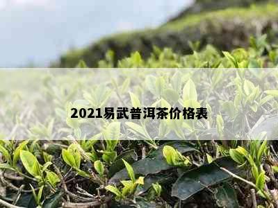 2021易武普洱茶价格表