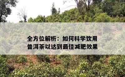 全方位解析：如何科学饮用普洱茶以达到更佳减肥效果