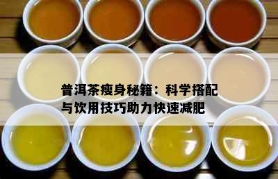 普洱茶瘦身秘籍：科学搭配与饮用技巧助力快速减肥