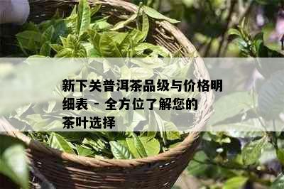 新下关普洱茶品级与价格明细表 - 全方位了解您的茶叶选择