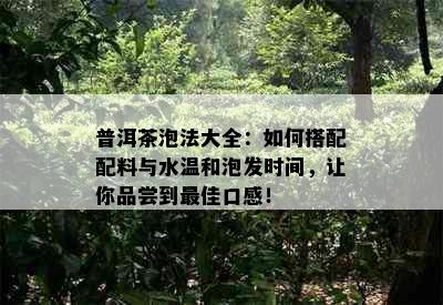 普洱茶泡法大全：如何搭配配料与水温和泡发时间，让你品尝到更佳口感！