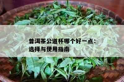 普洱茶公道杯哪个好一点：选择与使用指南