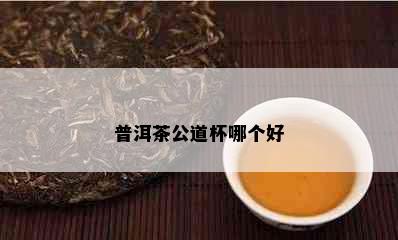 普洱茶公道杯哪个好