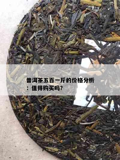 普洱茶五百一斤的价格分析：值得购买吗？