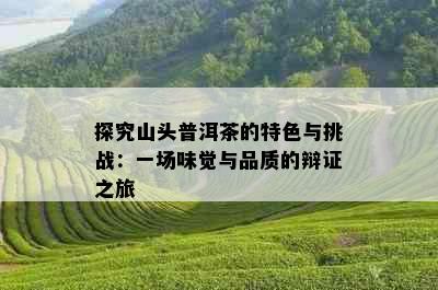 探究山头普洱茶的特色与挑战：一场味觉与品质的辩证之旅